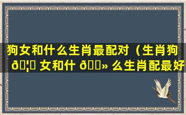 狗女和什么生肖最配对（生肖狗 🦆 女和什 🌻 么生肖配最好）